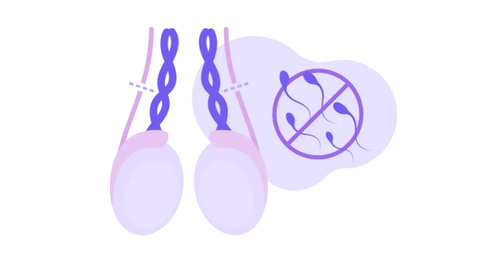 Vasectomy Edmonton IUD abortion